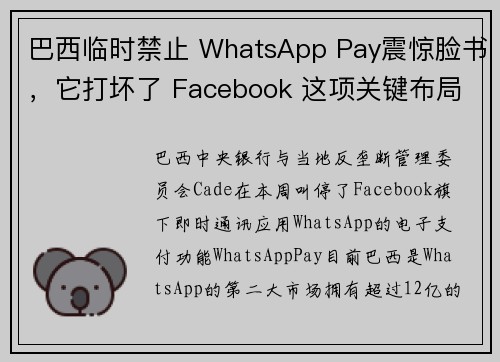 巴西临时禁止 WhatsApp Pay震惊脸书，它打坏了 Facebook 这项关键布局